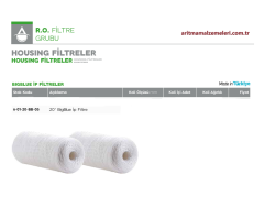 20'' Big Blue İp Filtre