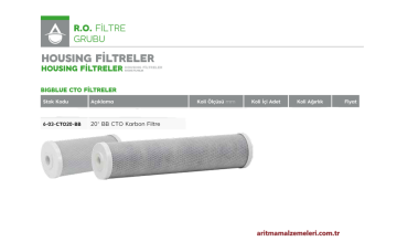 20'' BigBlue CTO Karbon Filtre