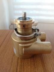 İtalyan NUERT Marka veya Rotoflow Marka 600 L/H Bypasslı Bronz Pompa